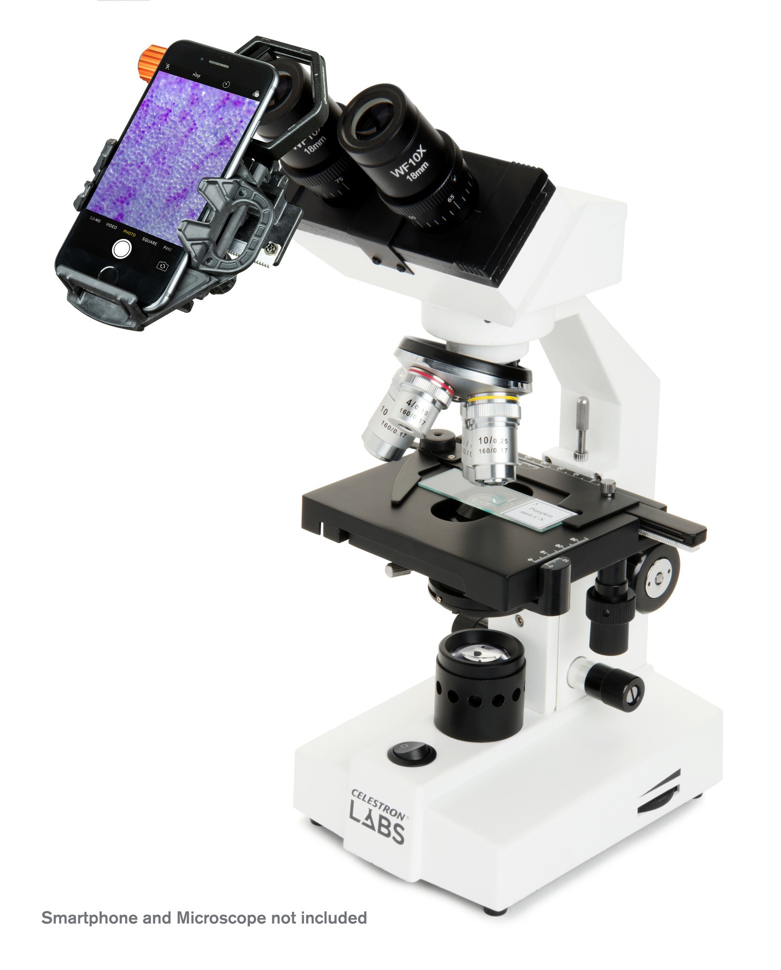 Anwendungsbild: Smartphone und Mikroskop nicht im Lieferumfang enthalten