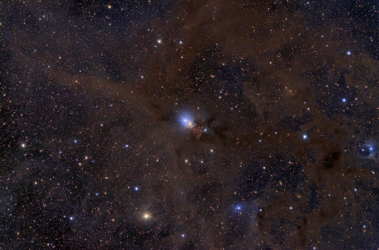 Anwendung: Der Staubnebel NGC 1333 – Aufnahme von Jimmy Walker mit 11"-RASA, 17x5 Minuten auf Bisque-Montierung, ohne Guiding.