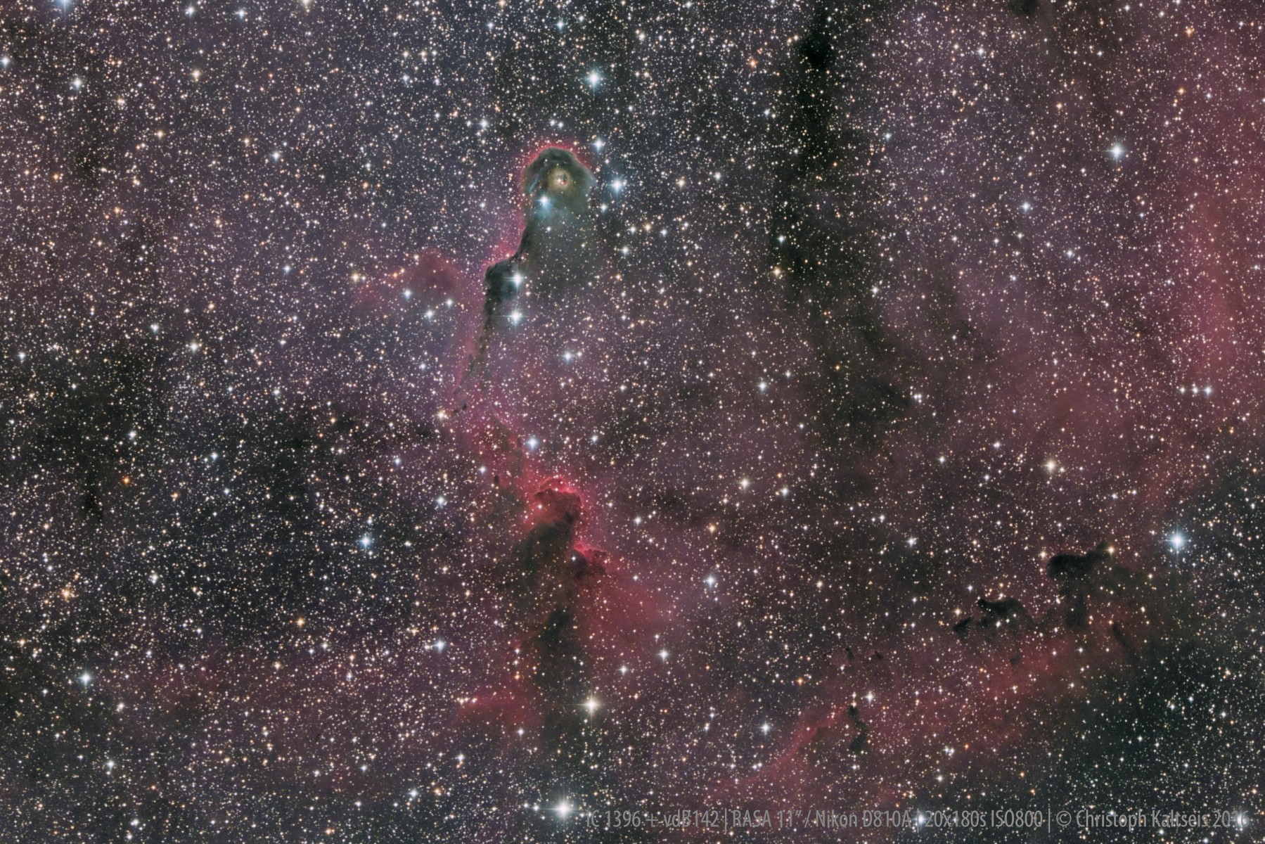 Anwendung: NGC 7822 mit 11 Zoll Rasa - Christoph Kaltseis