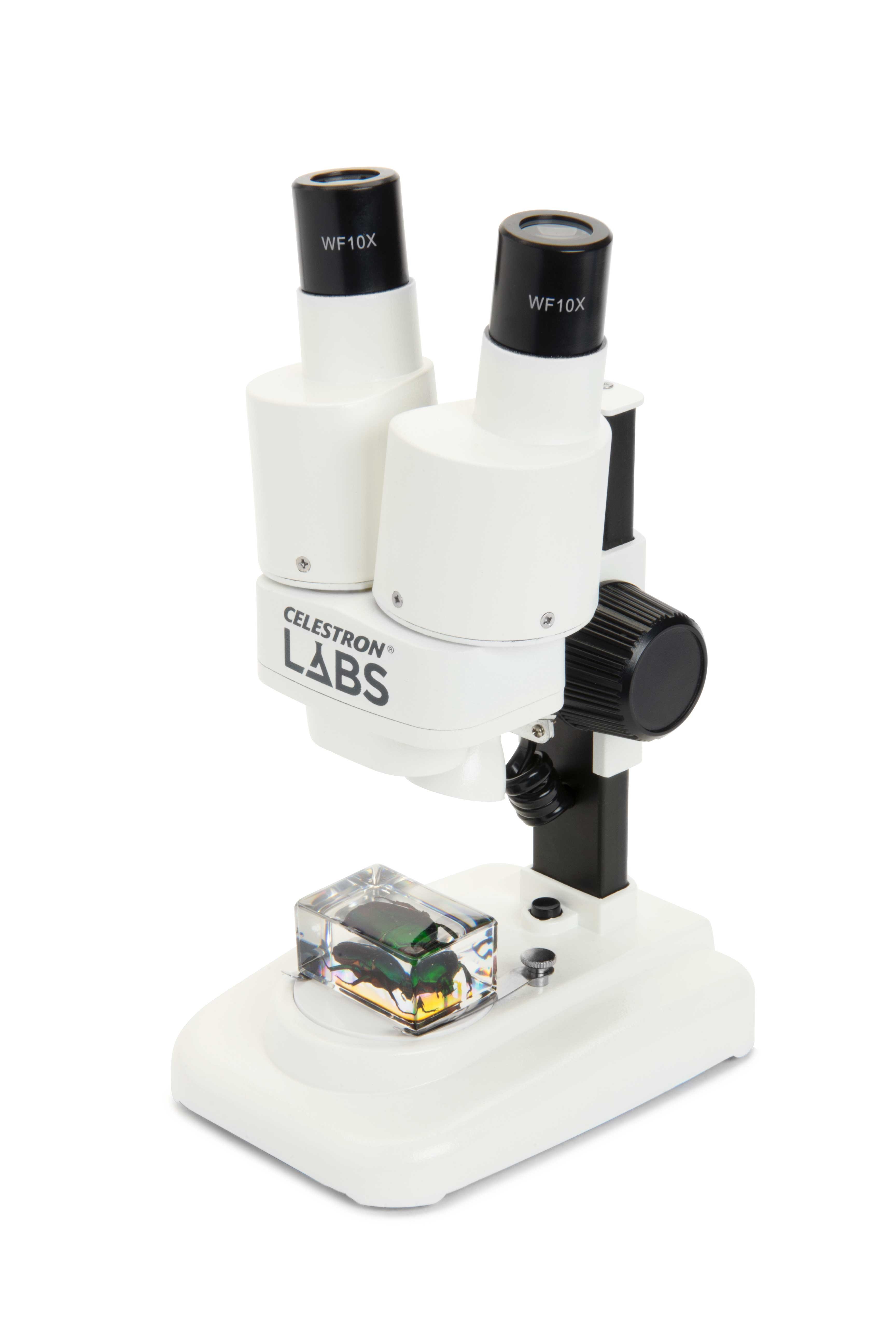 Labs S20 Stereolupe
